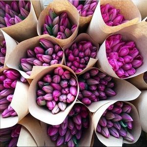 Meet your Posher, Shiqi